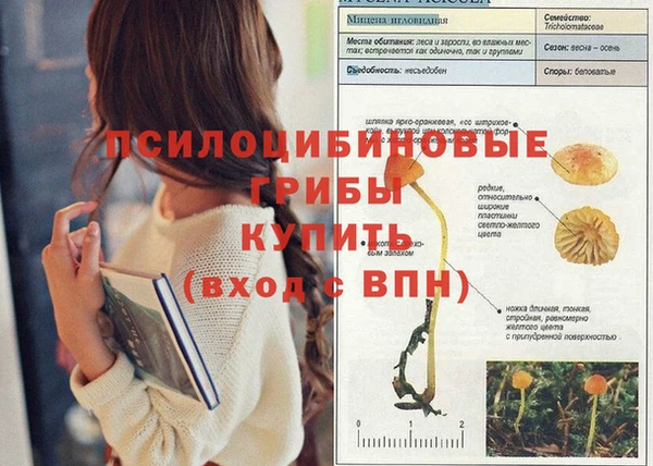 гидропоника Алзамай