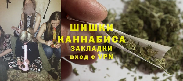 гидропоника Алзамай